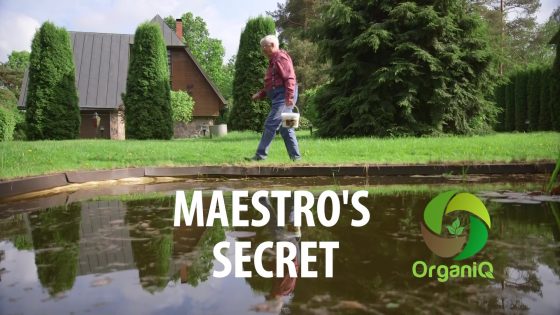 MAESTRO`S SECRET!